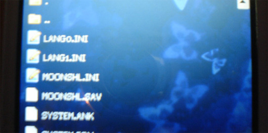 ifle0124.jpg