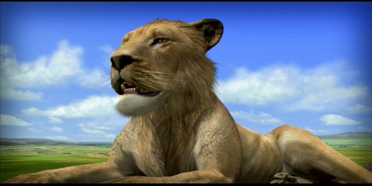 afrika
